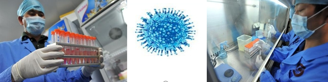 生物降解工藝流程圖.png 生物降解工藝流程圖.png